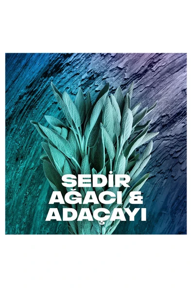 2 Adet Axe Erkek Sprey Deodorant Apollo 48 Saat Etkileyici Koku Vücut Spreyi 150 ml - Resim 3