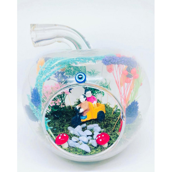 Minikkuş Tasarım Bir Ömür Aşk Teraryum - Resim 2