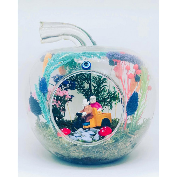 Minikkuş Tasarım Bir Ömür Aşk Teraryum - Resim 3