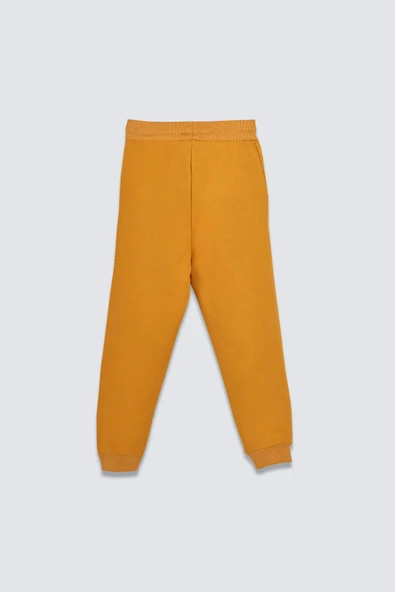 2'Li Basic Şardonlu 2 İplik Eşofman Set ( Winnie The Pooh - Hardal ) - 5