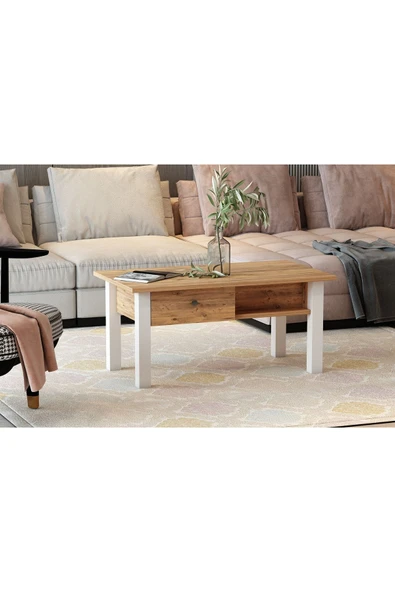 Meltem Çelik - BMdekor Orta Sehpa Loft Beyaz Antik Çam - 1