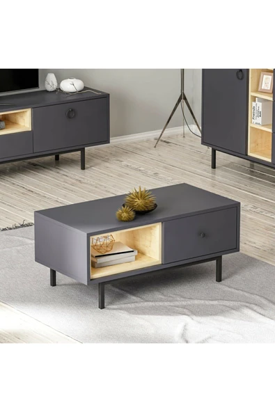 Meltem Çelik - BMdekor Orta Sehpa Naturel Antrasit ürün görseli