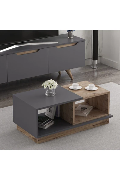 BMdekor Orta Sehpa Concept Antrasit Ceviz - 2