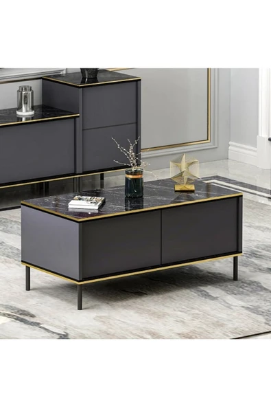 Meltem Çelik - BMdekor Orta Sehpa Kozan Antrasit Gold - Resim 2