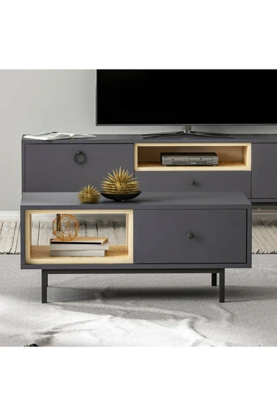 Meltem Çelik - BMdekor Orta Sehpa Naturel Antrasit - Resim 4