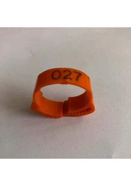 TURUNCU Kaz Ayak Bilezikleri - 1