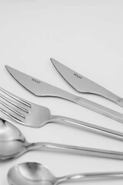 Soley | ZENIA | 6 kişilik 42 Parça Çatal Kaşık Bıçak Takımı - 5