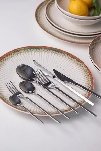 Soley | ZENIA | 6 kişilik 42 Parça Çatal Kaşık Bıçak Takımı