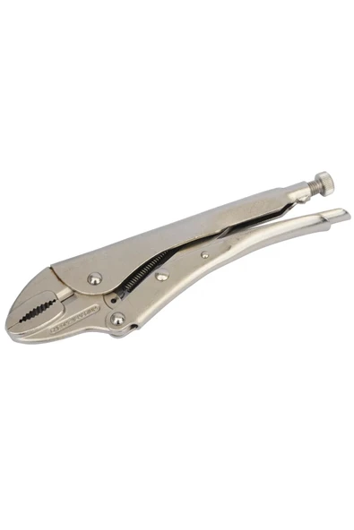 İzeltaş İzeltaş 2500110250 Üniversal Ayarlı Pense ürün görseli 1