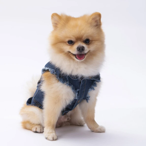 Pawstar Küçük Irk Köpek için Denim Yelek - 2