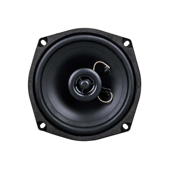 Westsound TH-06-CXT TS-5250 5'' 13 CM Çıplak Hoparlör - 2