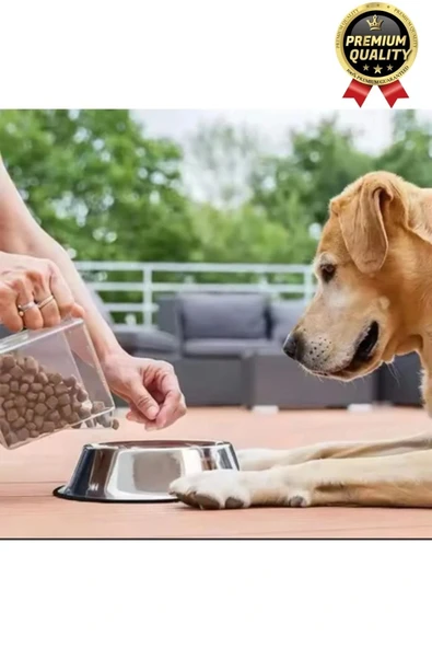 Premium Uzun Ömürlü Sağlam Kaymaz Kauçuk Taban Paslanmaz Çelik Metal Kedi Köpek Mama Su Kabı 34 cm - 4
