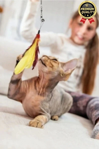 Özel Üretim Bükülebilir Elastik Çanlı Eğlenceli Teleskopik Zilli Tüylü Kedi Oyuncağı Oyun Oltası - 6