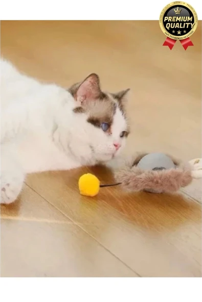 Özel Üretim Yumuşak Küçük Boyutlu Şarj Edilebilir Etkileşimli Eğlenceli Yuvarlanan Kedi Top Oyuncağı - 4