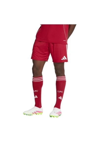 adidas Erkek  Kırmızı  Şort LFC H SHO (Liverpool) JV6425 - Resim 2