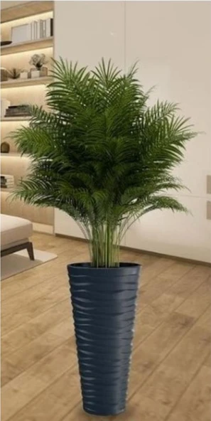 Omnipazar SO-KVT3 Kumsal Vazo Saksı Takımı 128 Litre Antrasit 3 Adet - Resim 5