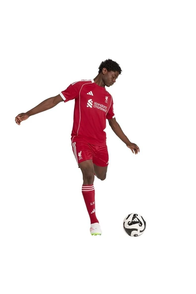 adidas Erkek  Kırmızı  Şort LFC H SHO (Liverpool) JV6425 - Resim 4