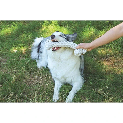 M-Pets Coto Örgü Kemik Köpek Oyuncağı Beyaz 30 Cm - Resim 2
