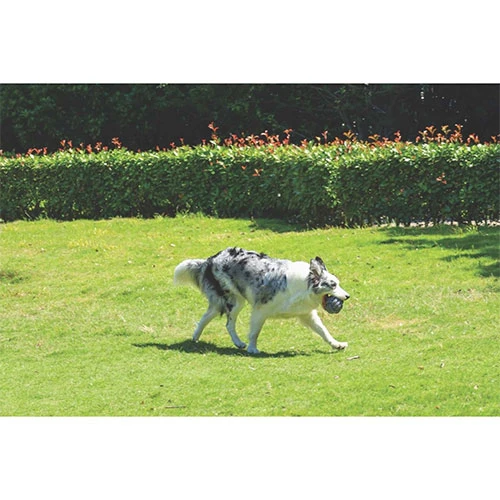 M-Pets Coto Örgü Top Köpek Oyuncağı Gri 9,5 Cm - Resim 2