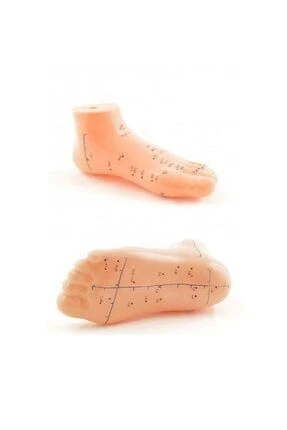 Medikaltec AKUPUNKTUR AYAKMAKETİ 834 *** - Medikaltec AKUPUNKTUR AYAKMAKETİ *** ürün görseli