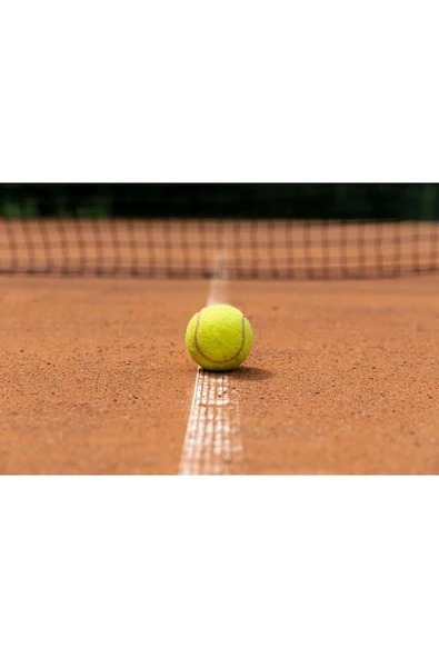 Kampus Kırtasiyem 3'lü Paket Yüksek Sekmeli Dayanıklı Antreman Yarı Profesyonel Tenis Topu - 2