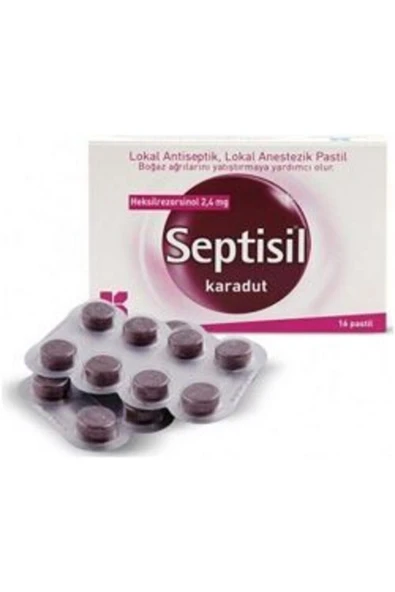 KURTSAN KURTSAN Septisil Karadut 16 Pastil