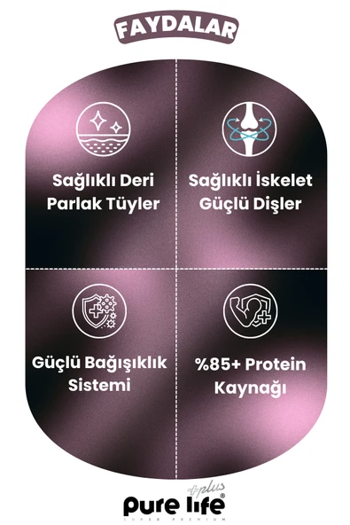 PURELİFE PLUS SIĞIR ETLİ LOKMALIK KEDİ ÖDÜL MAMASI 60GR - 2