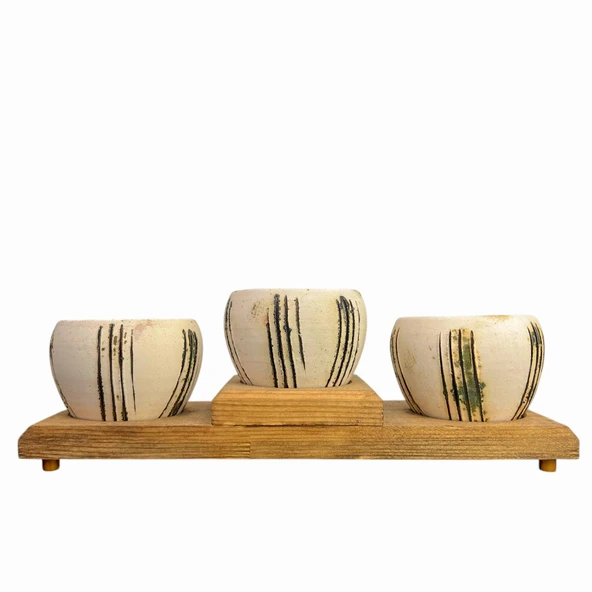 Bitki Tasarımı Ev dekorasyon Aksesuar Bej Çizgili EskitmeToprak Saksı Üçlü Ahşap Tabanlı Çiçeklik Saksı Saksılık ürün görseli