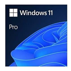 Microsoft Windows 11 Pro 64Bit Türkçe Kutu HAV-00159 Kutulu İşletim Sistemi - Resim 2