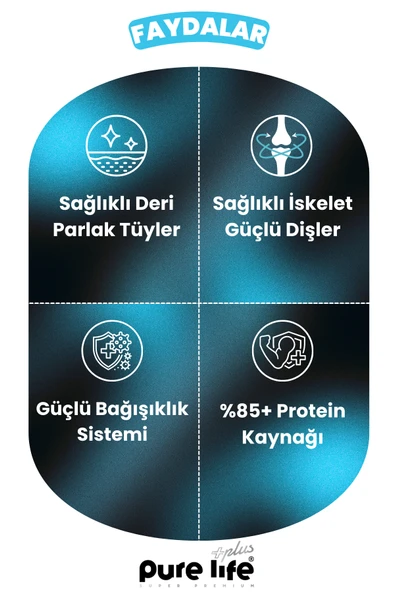 PURELİFE PLUS SOMONLU LOKMALIK KEDİ ÖDÜL MAMASI 60GR - 3