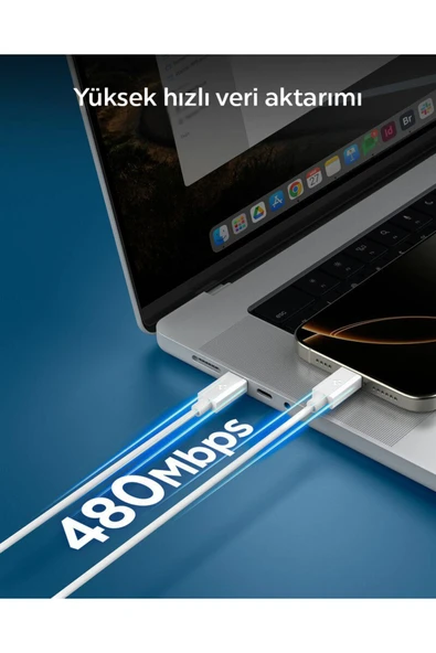 Spigen Essential 1M USB-C to USB-C 60W Kablo ACA08718 Siyah - 4