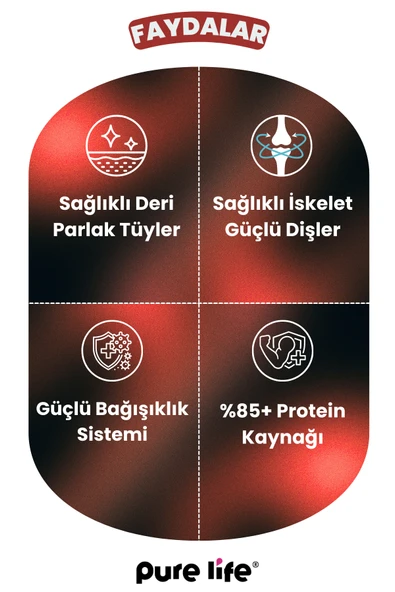 PURELİFE PRIME BİFTEKLİ YETİŞKİN KÖPEK MAMASI 15KG - 3