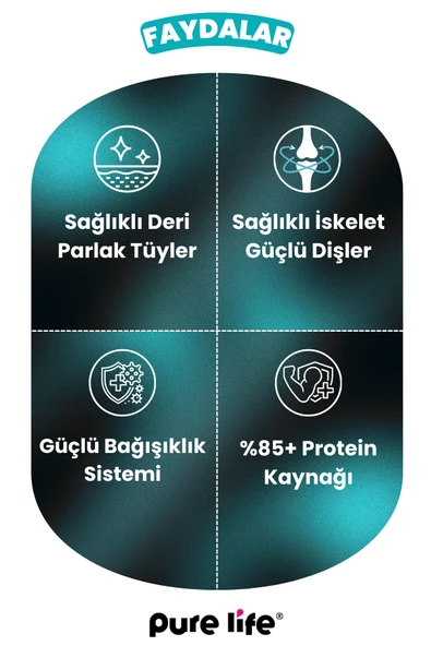 PURELİFE PATE TAVUK ETLİ YETİŞKİN KEDİ KONSERVE MAMA 400GR - 3