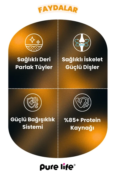 PURELİFE PATE KUZU ETLİ YETİŞKİN KEDİ KONSERVE MAMA 400GR - 3