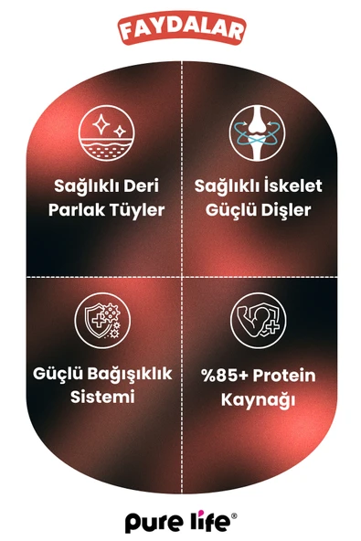 PURELİFE PATE SIĞIR ETLİ YETİŞKİN KÖPEK KONSERVE MAMA 400GR - 3