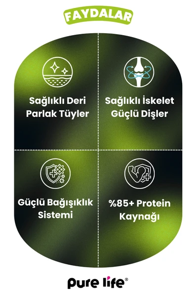 PURELİFE PATE KUZU ETLİ YAVRU KÖPEK KONSERVE MAMA 400GR - 2