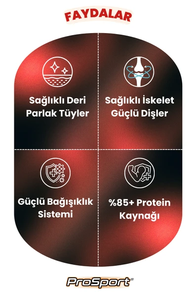 PROSPORT BİFTEKLİ YETİŞKİN KÖPEK MAMASI 15KG - 2