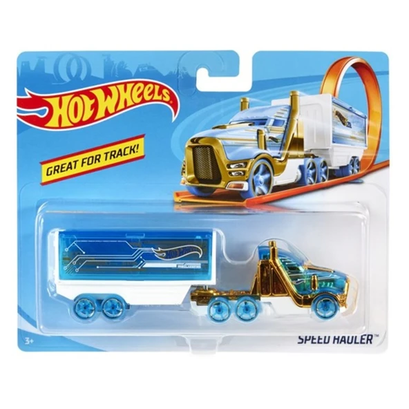 Hot Wheels Kamyonlar BFM60 12244 - Resim 3