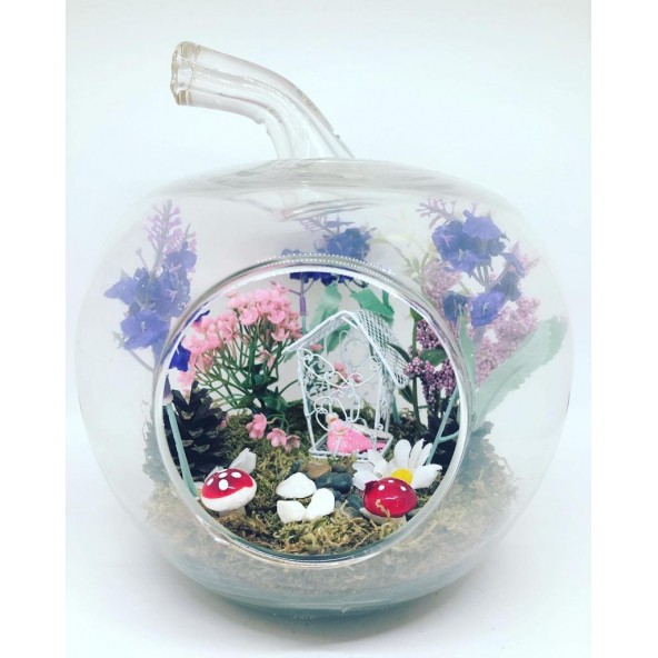 Minikkuş Tasarım Kuşlu Bahçem Teraryum ürün görseli