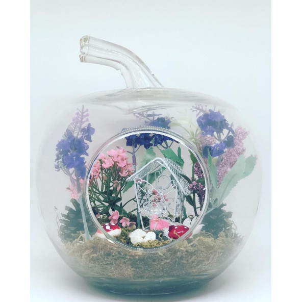 Minikkuş Tasarım Kuşlu Bahçem Teraryum - Resim 3