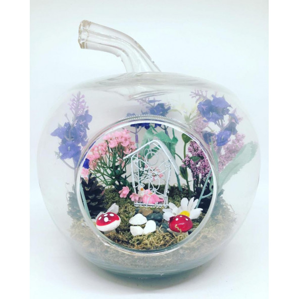 Minikkuş Tasarım Kuşlu Bahçem Teraryum - Resim 4