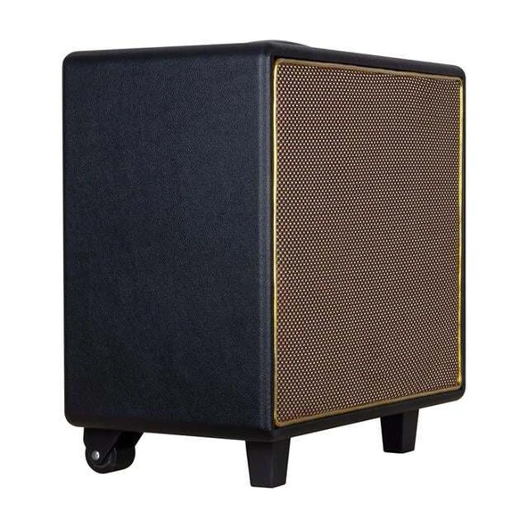 Shile GT-10 El Mikrofonlu USB/SD/BT Taşınabilir Hoparlör - Resim 2