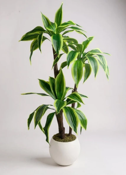 Yapay Ağacı Yukka Sarı Şeritli Draceena Ağacı Beyaz Küre Saksıda 100*50cm - Resim 2