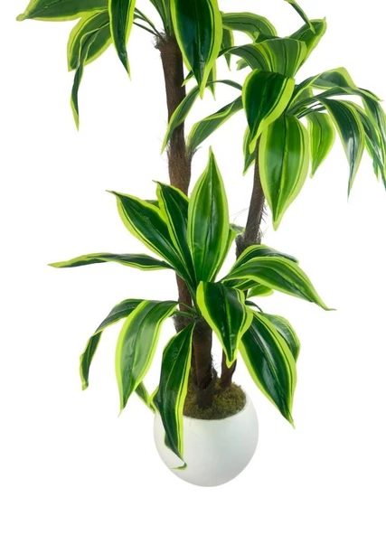 Yapay Ağacı Yukka Sarı Şeritli Draceena Ağacı Beyaz Küre Saksıda 100*50cm - Resim 4