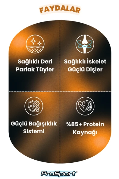 PROSPORT CHUNK TAVUK ETLİ YETİŞKİN KEDİ KONSERVE MAMA 400GR - 4