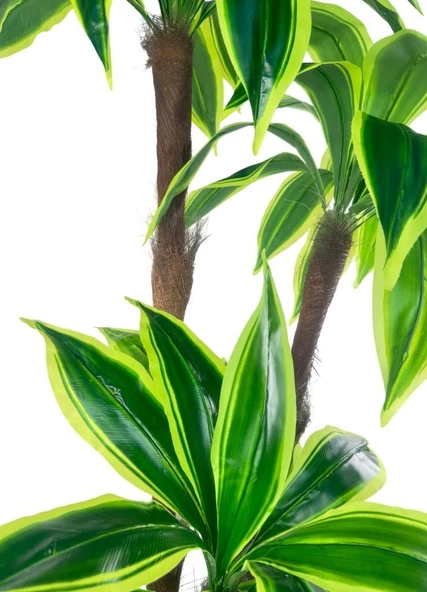 Yapay Ağacı Yukka Sarı Şeritli Draceena Ağacı Beyaz Küre Saksıda 100*50cm - Resim 5