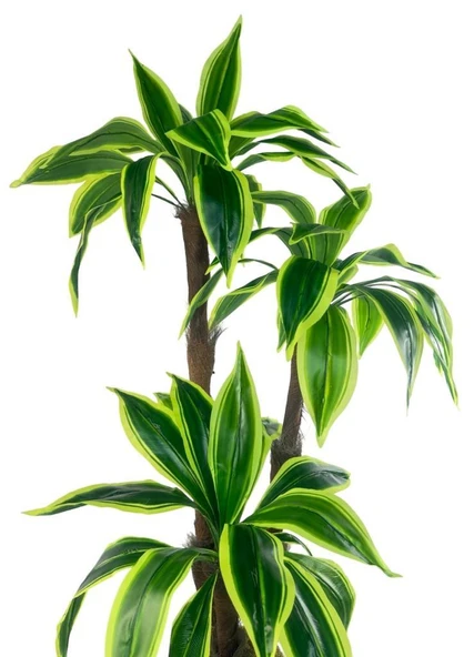 Yapay Ağacı Yukka Sarı Şeritli Draceena Ağacı Beyaz Küre Saksıda 100*50cm - Resim 3
