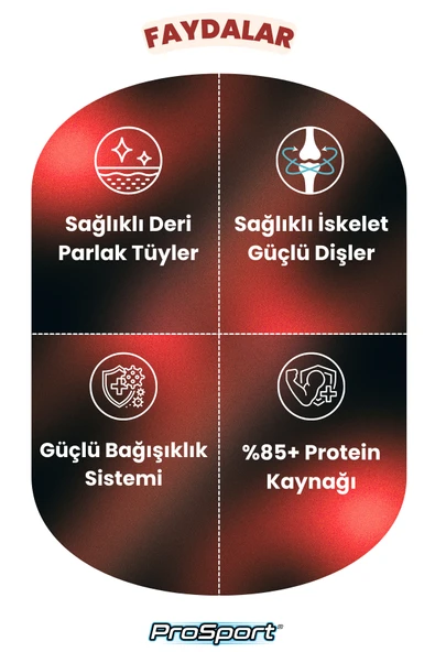 PROSPORT CHUNK SIĞIR ETLİ YETİŞKİN KÖPEK KONSERVE MAMA 400GR - 4