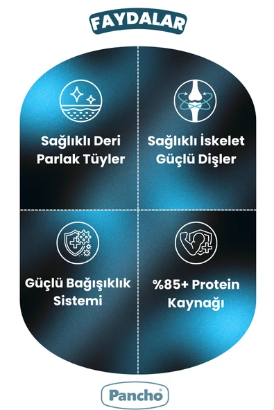 PANCHO KUZU ETLİ YETİŞKİN KÖPEK MAMASI 15KG - 4