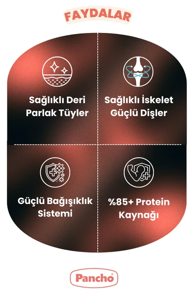 PANCHO KISIRLAŞTIRILMIŞ YETİŞKİN KEDİ MAMASI 15KG - 2